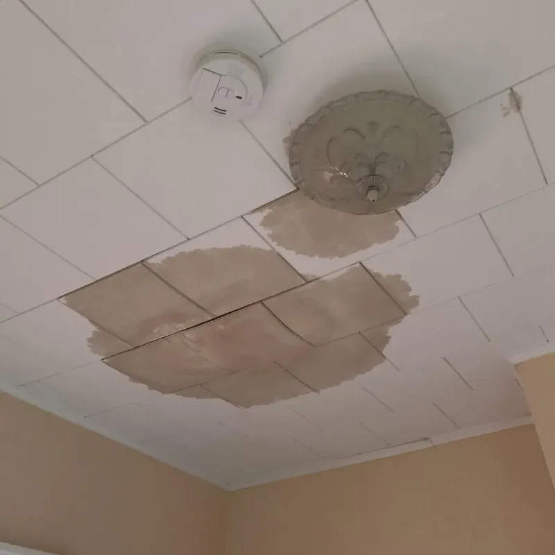 Ceiling Water Damage Repair in Tremont, ME