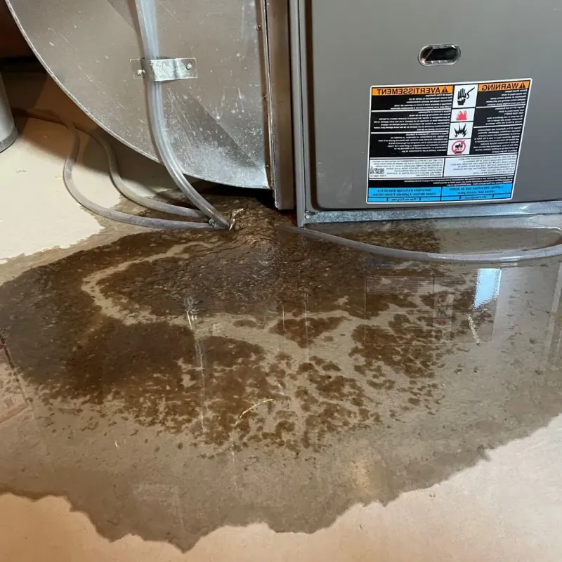 Pipe Burst and Leak Restoration in Tremont, ME